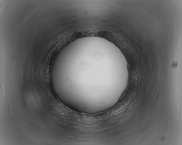 X0000100870818200806200900