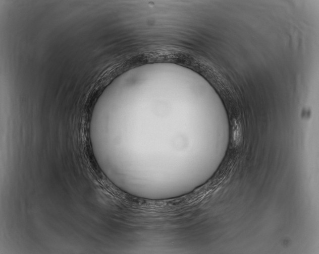 X0000100870819200806200900