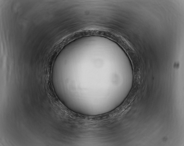 X0000100870821200806200901