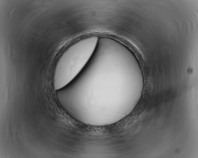 X0000100870823200806200901