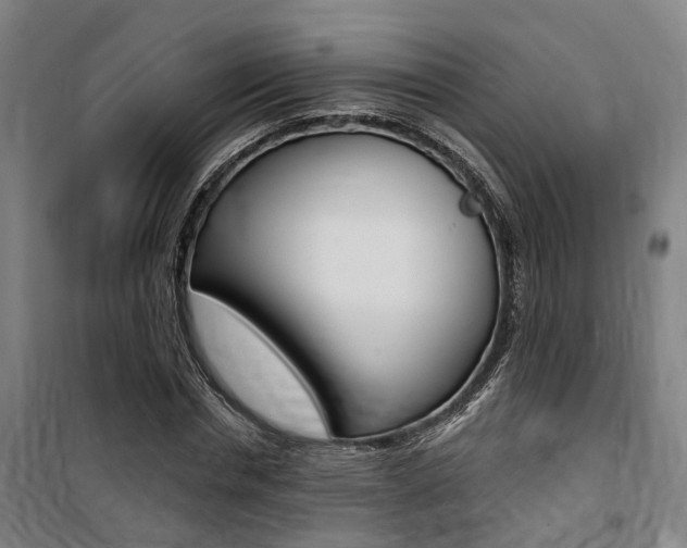 X0000100870826200806200901