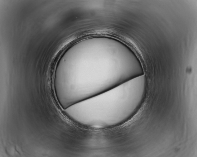 X0000100870827200806200901