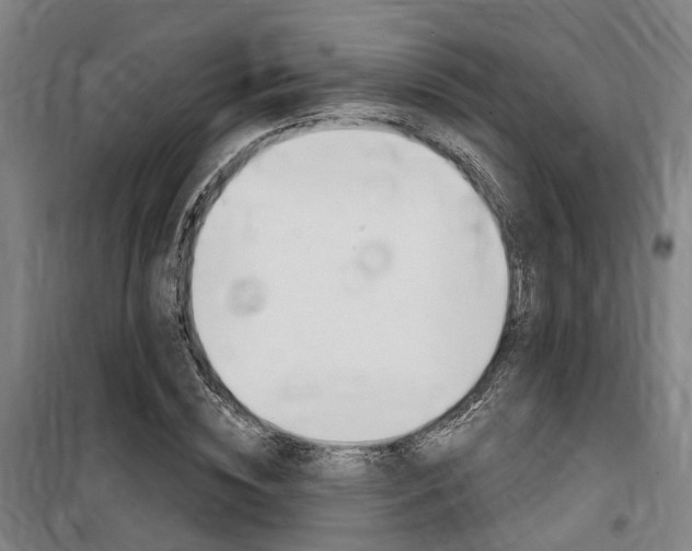 X0000100870828200806200901