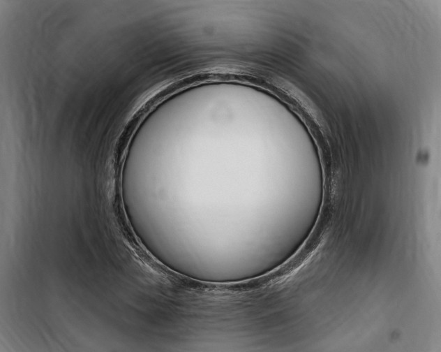 X0000100870829200806200901