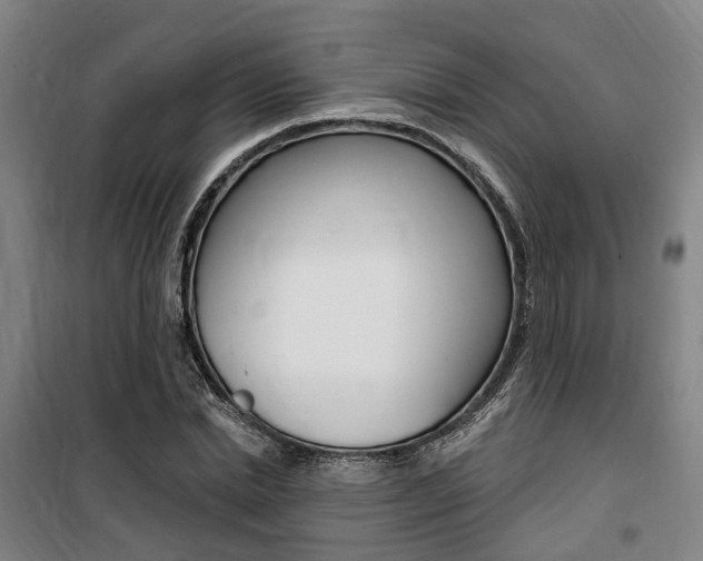 X0000100870830200806200901