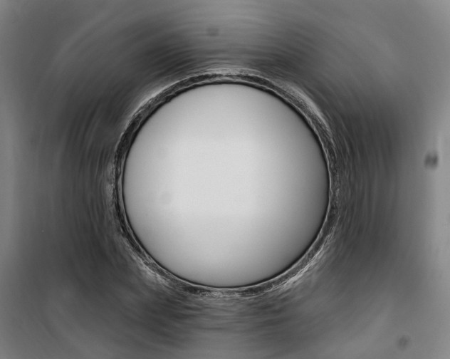 X0000100870831200806200901