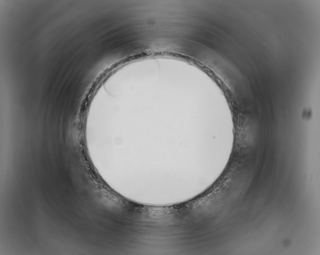 X0000100870832200806200901