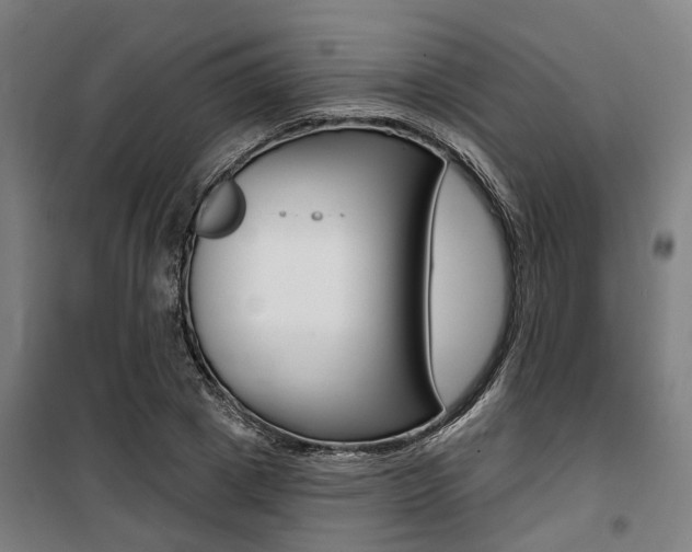 X0000100870833200806200901