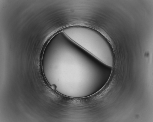 X0000100870834200806200901