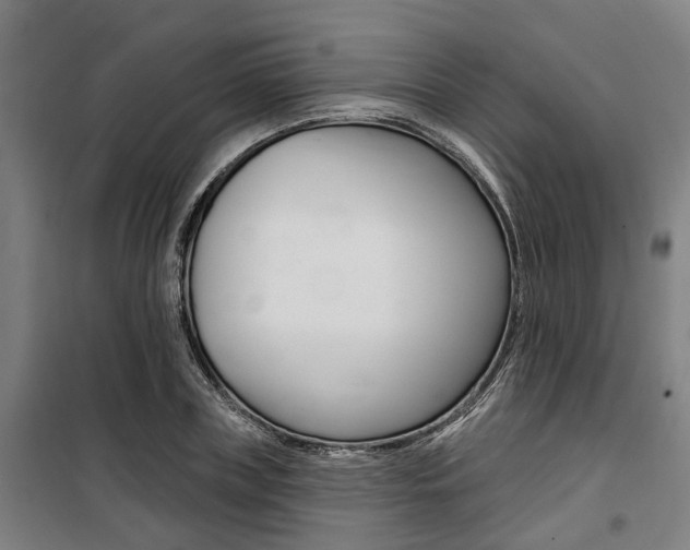 X0000100870835200806200901