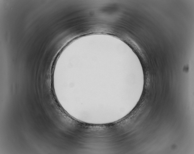 X0000100870836200806200901