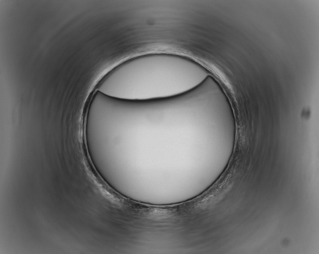 X0000100870839200806200901