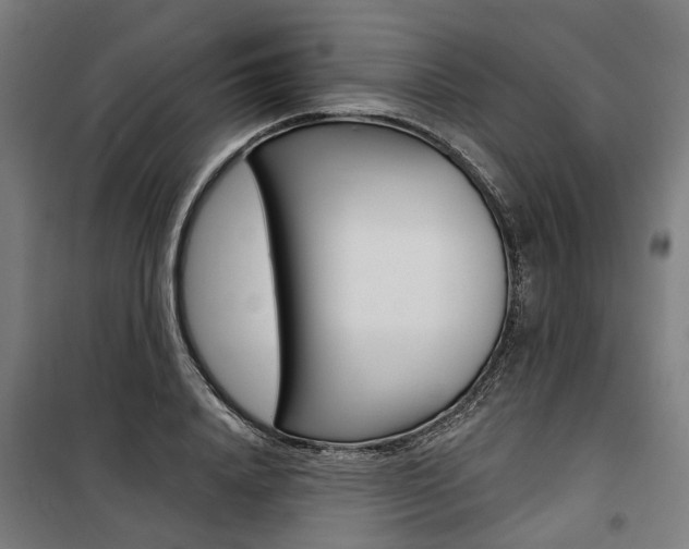 X0000100870840200806200901