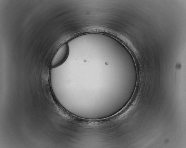 X0000100870841200806200901