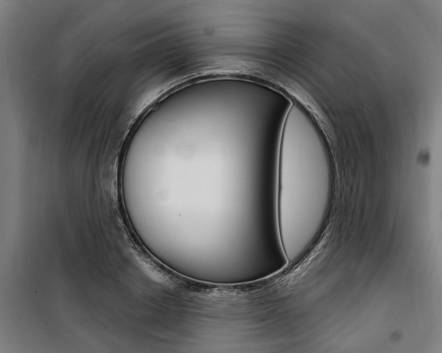 X0000100870842200806200901