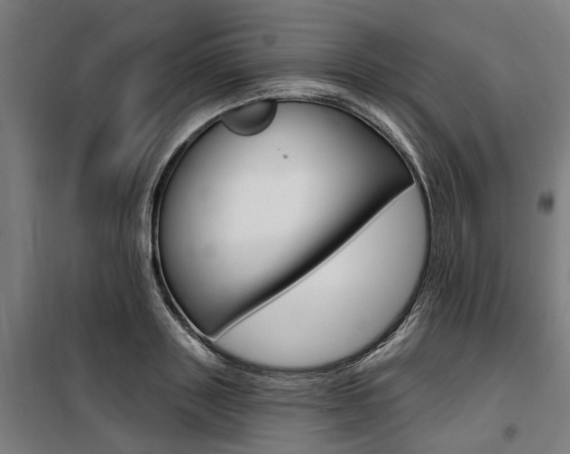 X0000100870843200806200901