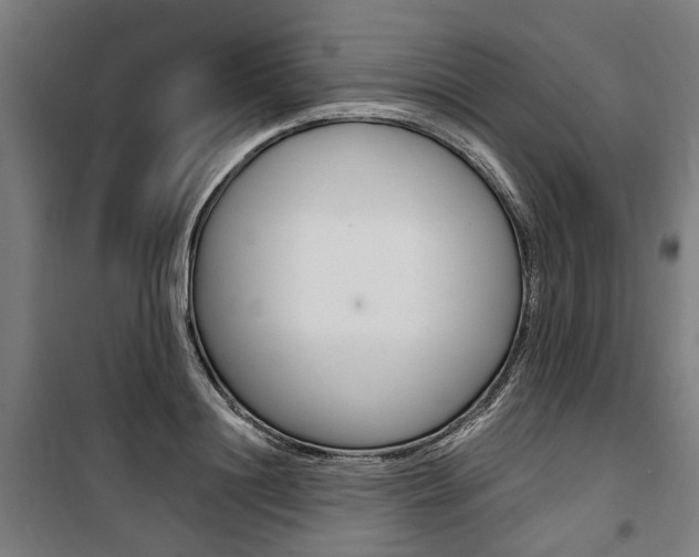 X0000100870844200806200901