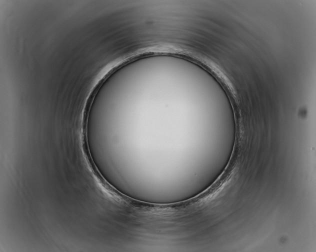 X0000100870845200806200901