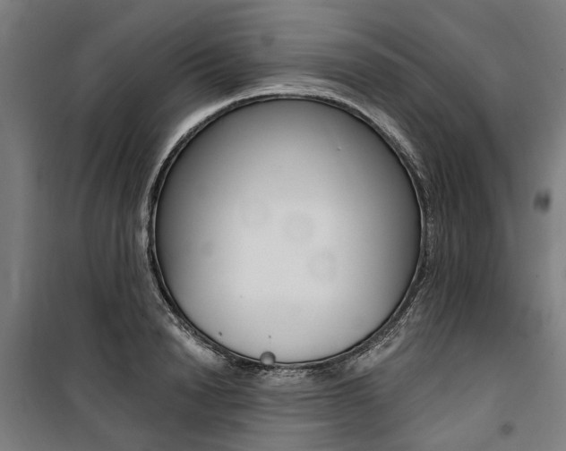 X0000100870846200806200901