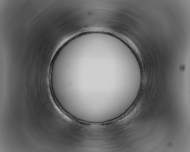 X0000100870847200806200901