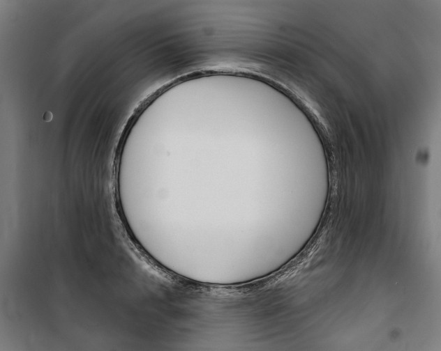 X0000100870848200806200901
