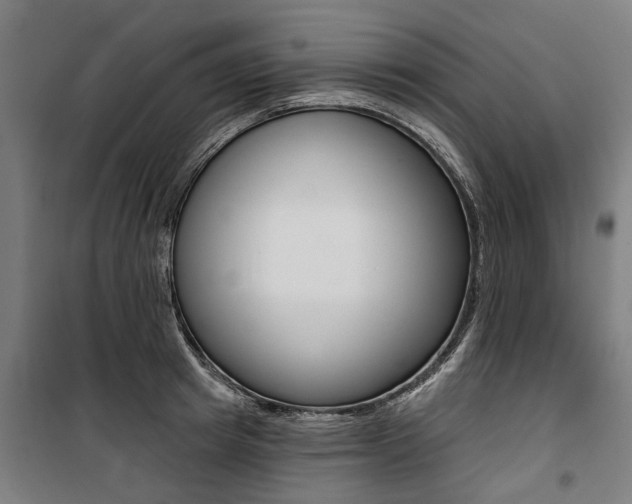 X0000100870849200806200901