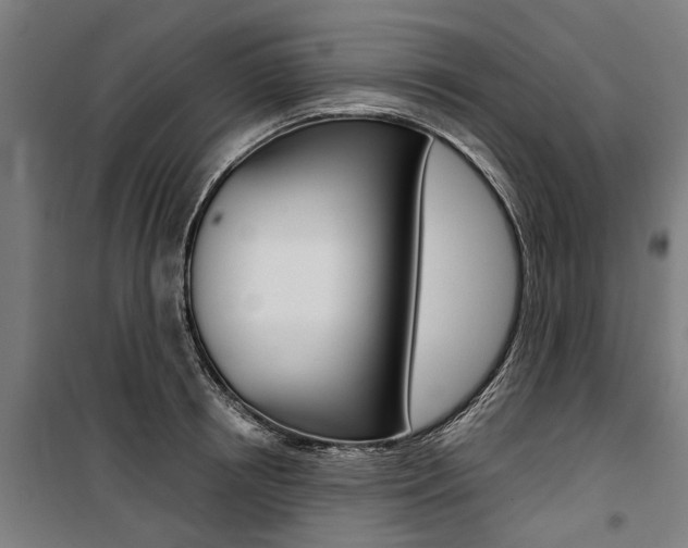 X0000100870850200806200901