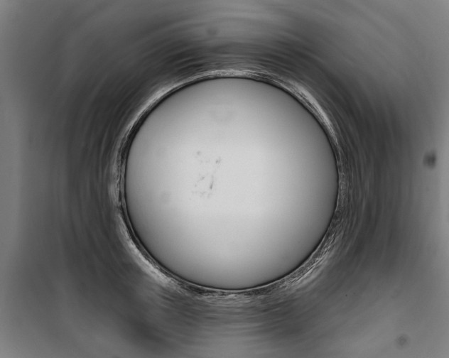 X0000100870851200806200901