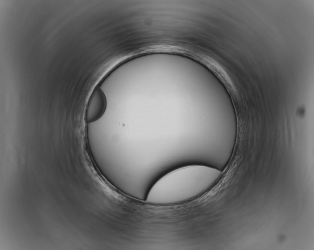 X0000100870852200806200901
