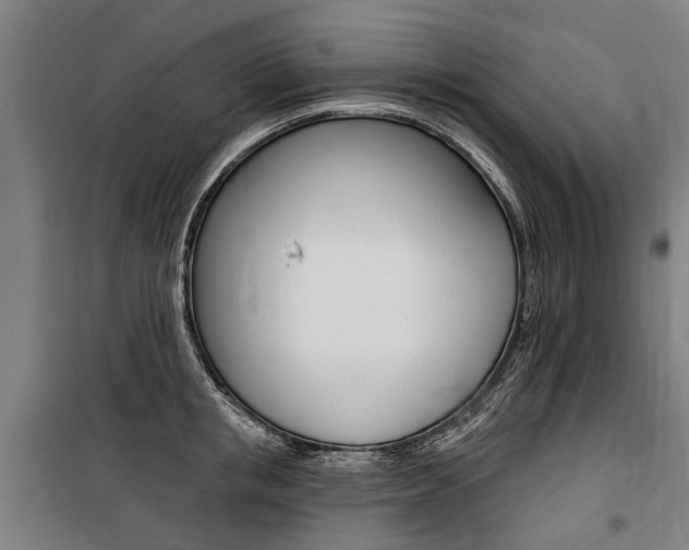 X0000100870853200806200901
