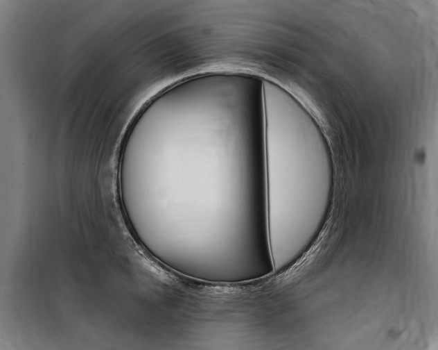 X0000100870854200806200901