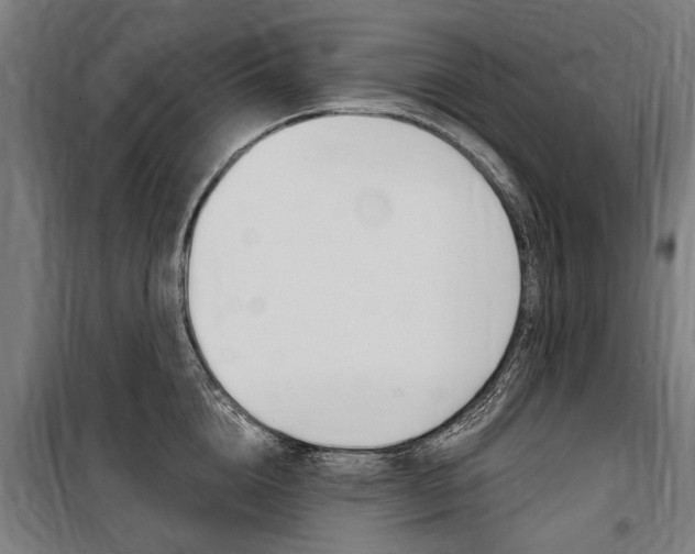 X0000100870856200806200901