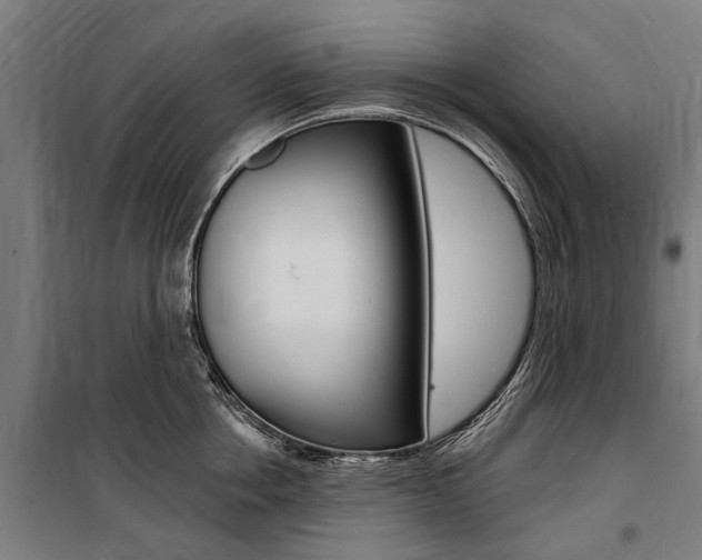 X0000100870858200806200901