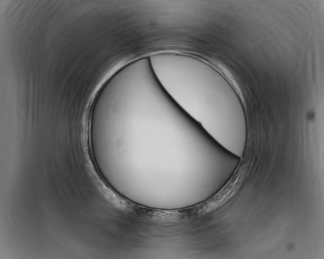 X0000100870859200806200901