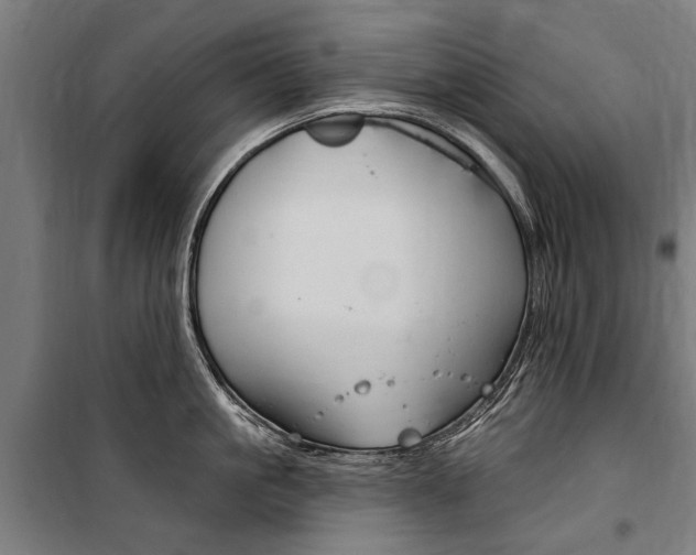 X0000100870861200806200901