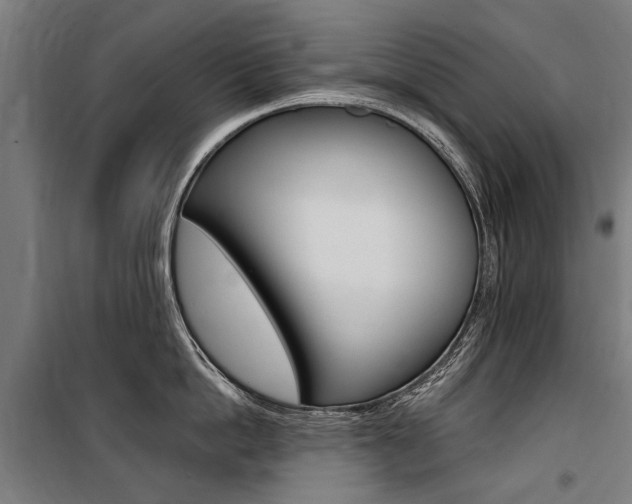X0000100870862200806200901
