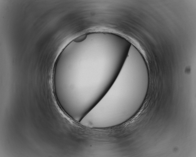 X0000100870863200806200901