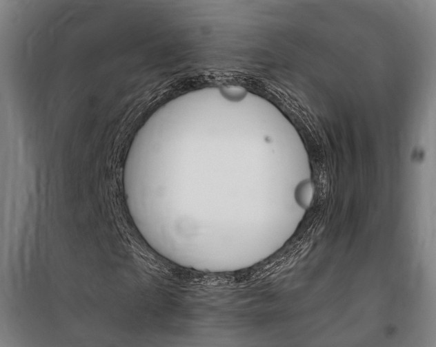 X0000100870865200806200900