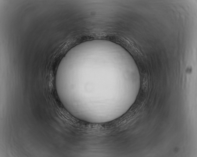 X0000100870866200806200900