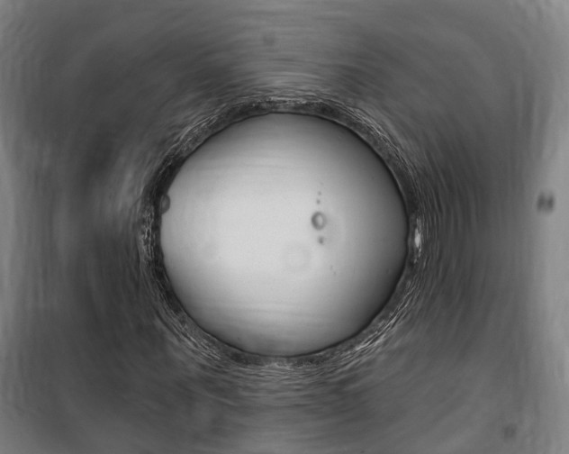 X0000100870867200806200900