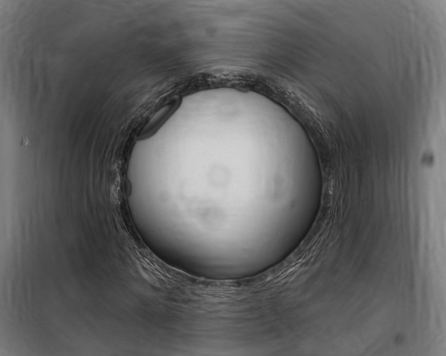 X0000100870868200806200900