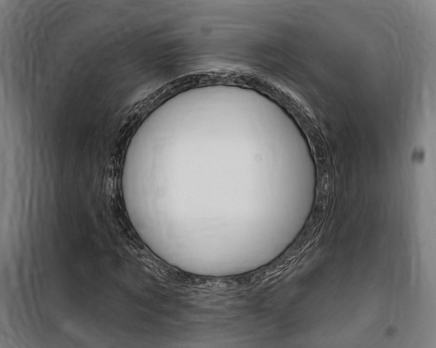 X0000100870869200806200900