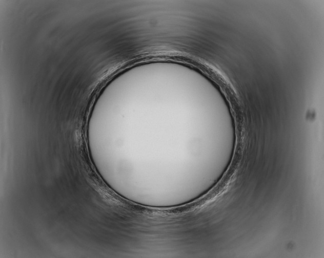 X0000100870873200806200900