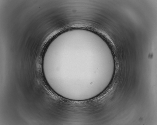 X0000100870874200806200900