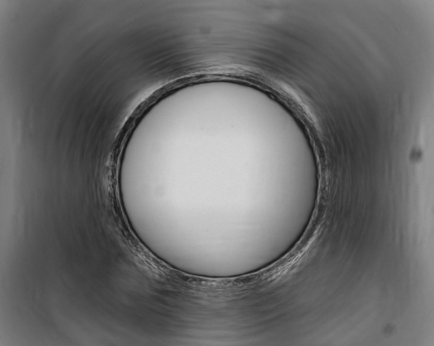 X0000100870875200806200900