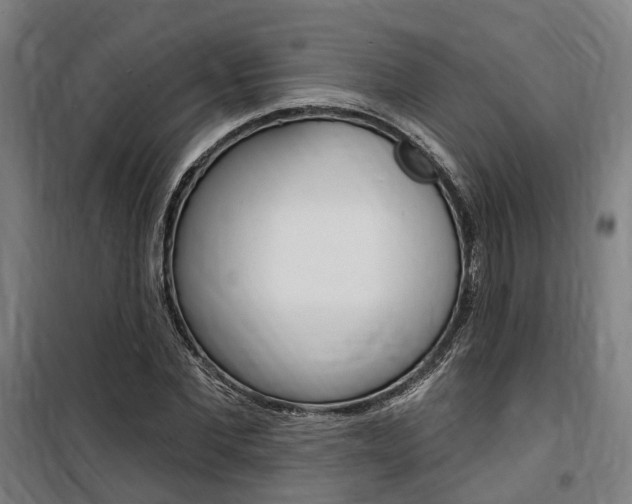 X0000100870877200806200900