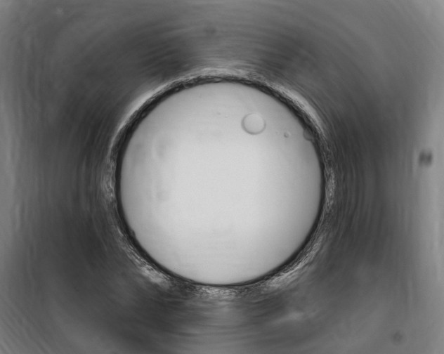 X0000100870878200806200900