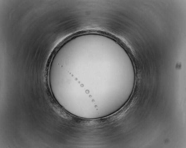 X0000100870879200806200900