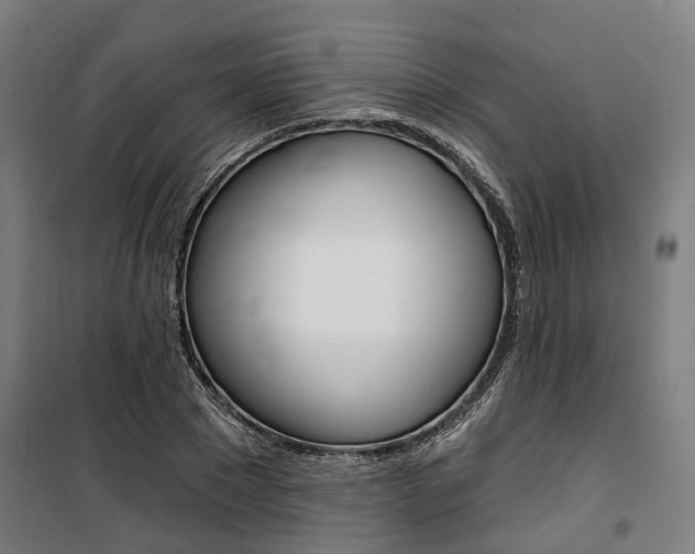 X0000100870881200806200900