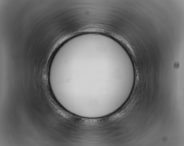 X0000100870882200806200900